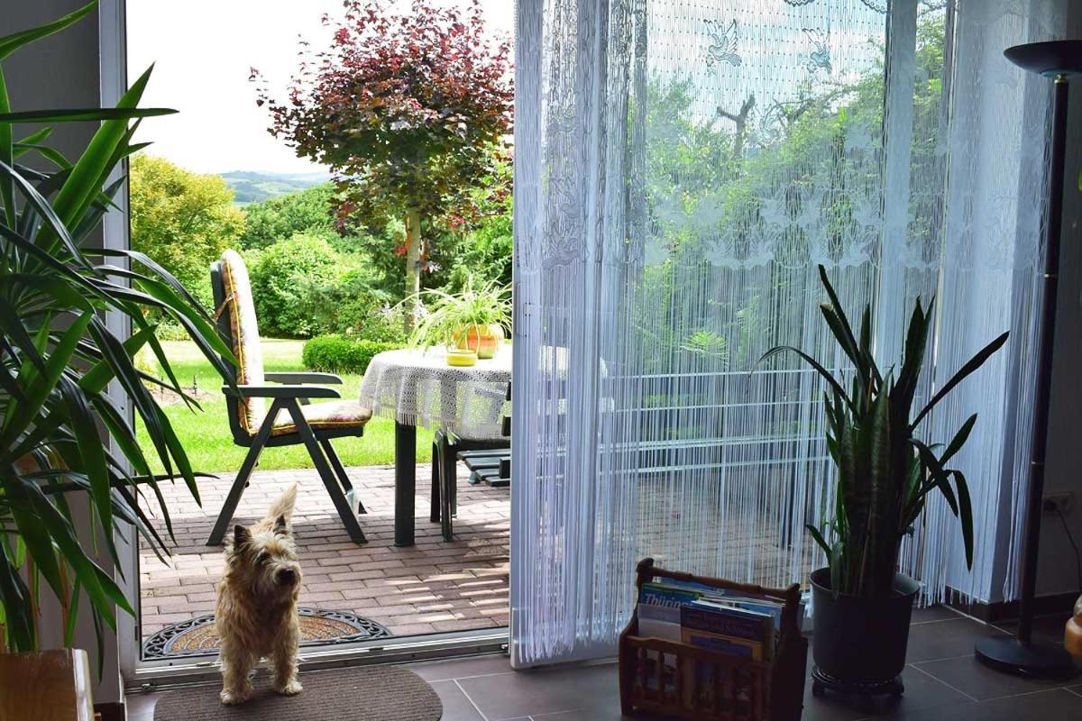 Landhaus Kuehn Bad Salzungen Bagian luar foto